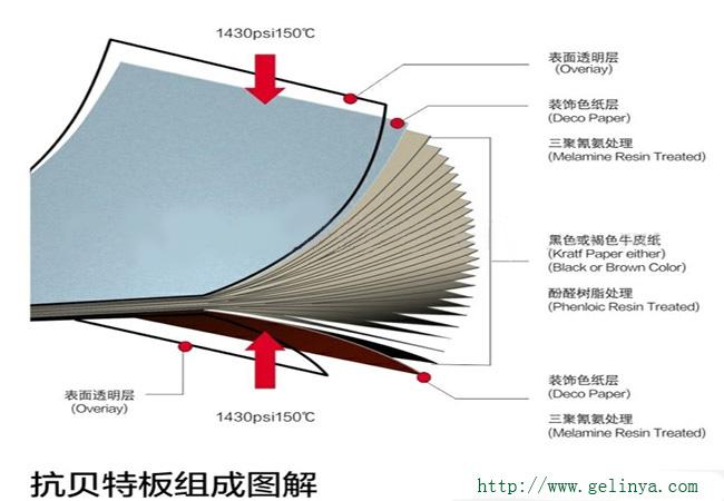 樹脂板產品系列